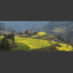 龙凤梯田