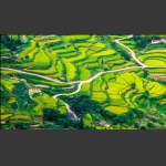 生活小画版
