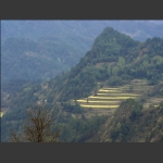 龙凤梯田