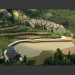 龙凤村