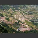 龙凤梯田