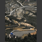 龙凤梯田