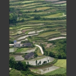 龙凤梯田