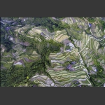 龙凤梯田鸟瞰图