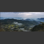 晨