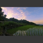 龙凤风光无限好-3