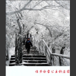 信步白雪公主的庄园