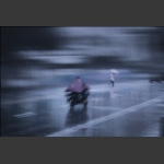 在雨中