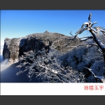 琼楼玉宇