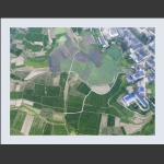 家园