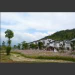 美丽新村