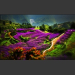 包公山观花
