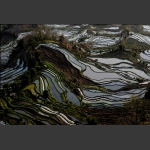 梯 田