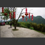 大红灯笼树上挂