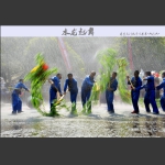 水龙起舞