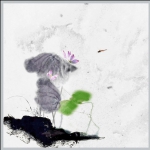 墨荷2