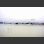 澧水河畔