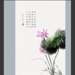 写荷