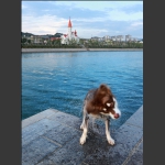 甩水一瞬