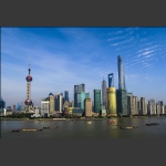 这里是上海