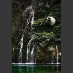 山水小景
