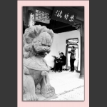 紫竹院内