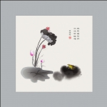 墨荷3