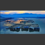 醉美霞浦（4）