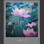 雨中荷