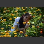 小花