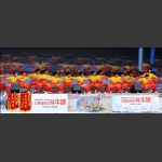 武术表演