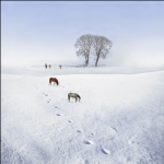 雪域