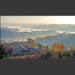 晚秋。松岭