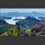 不容错过的路边风景