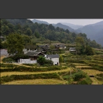 美丽乡村