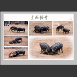 生死较量