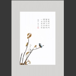 翠鸟