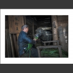 喂牛王