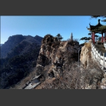 闾山大芦花