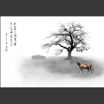 晨冬