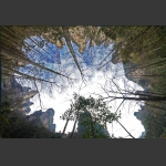 奇峰