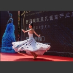 雀之灵
