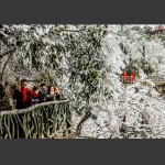 相看天门雪