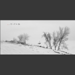 独钓寒江雪