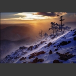 风雪白狼峰