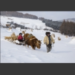 雪村印象