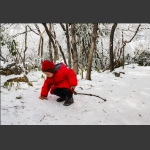 雪地童心
