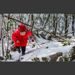 雪地童心
