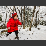雪地童心