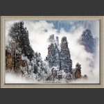 雪后天子山